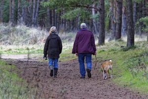 Dos personas mayores paseando con su perro de espaldas a la cámara